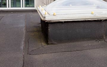 disadvantages of Carrutherstown flat roofs
