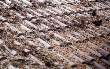 Carrutherstown roof cleaning companies