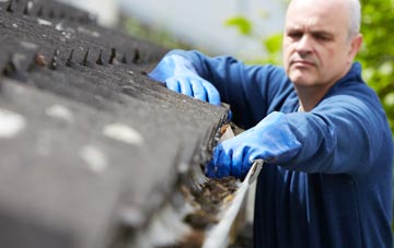cleaning and inspecting Carrutherstown roofs